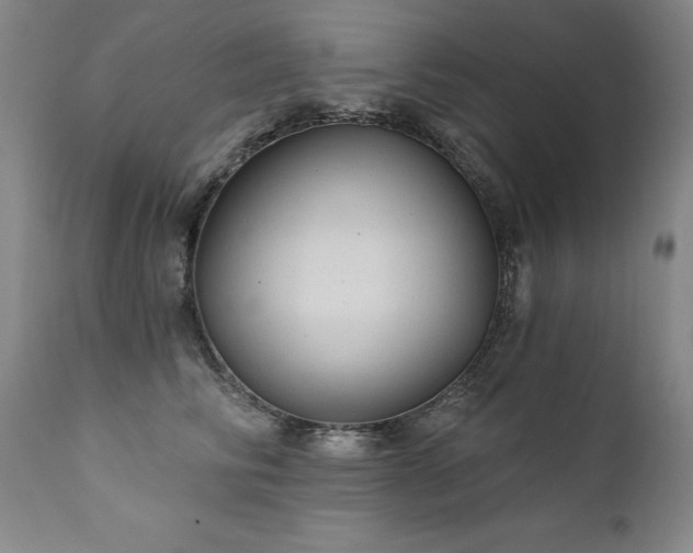 X0000111910710200907271222