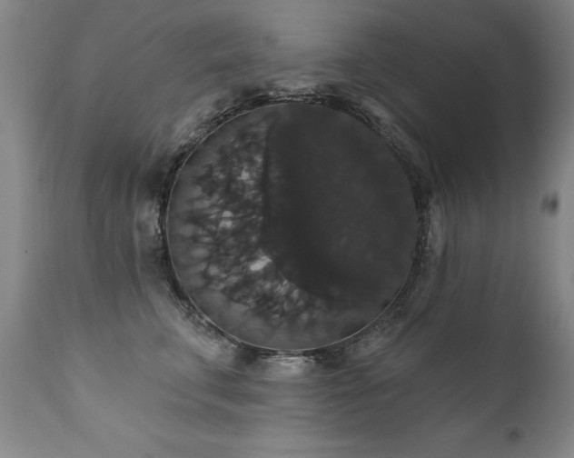 X0000111910711200907271222