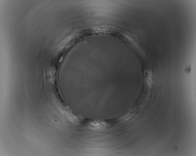 X0000111910712200907271222