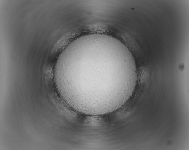 X0000111910713200907271222