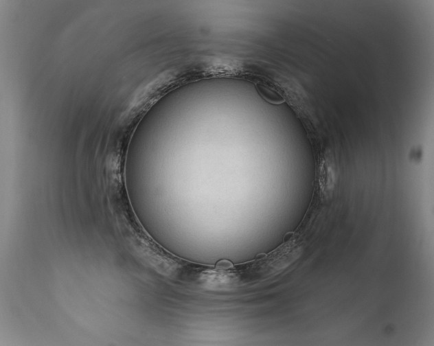 X0000111910714200907271222