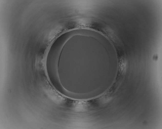 X0000111910716200907271222
