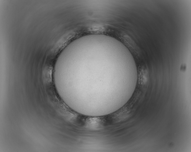 X0000111910717200907271222