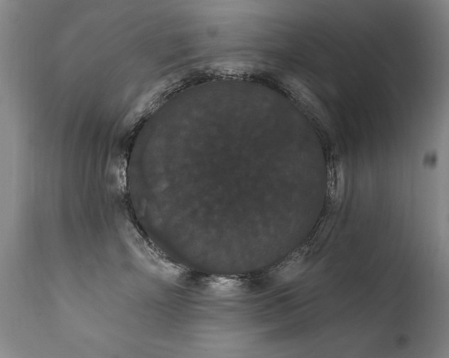 X0000111910718200907271222