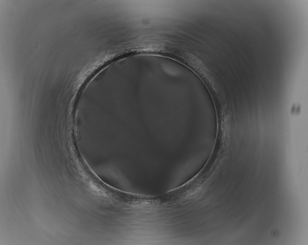 X0000111910721200907271221