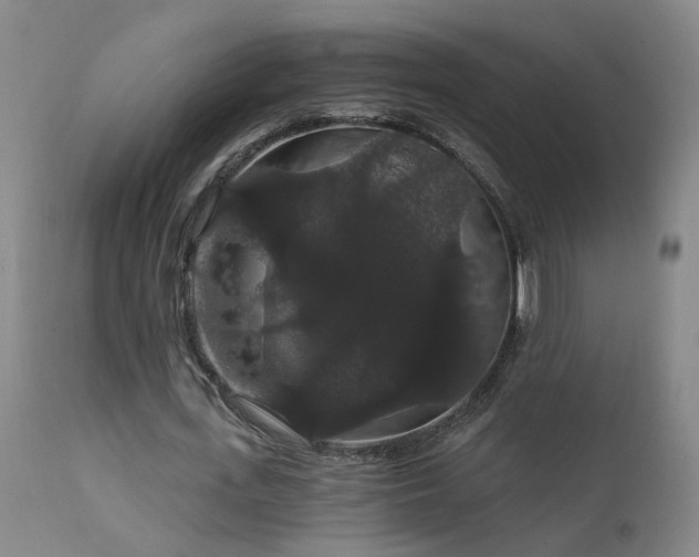 X0000111910723200907271221