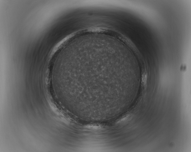 X0000111910724200907271221