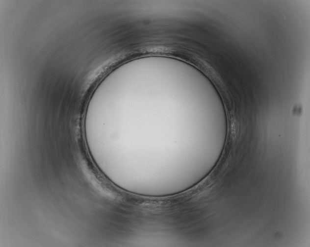 X0000111910725200907271221