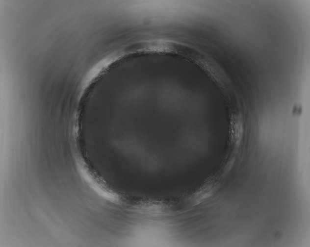 X0000111910726200907271221