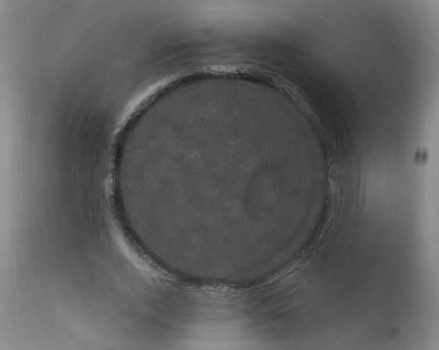 X0000111910728200907271221