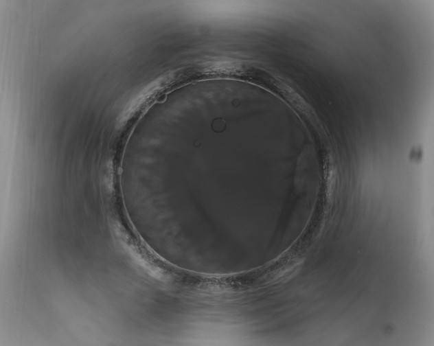 X0000111910729200907271221