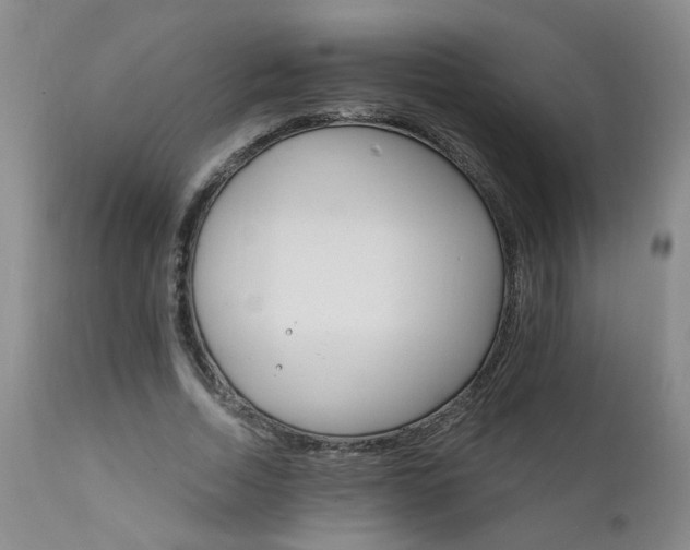 X0000111910730200907271221