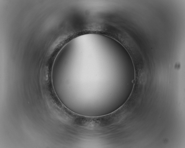 X0000111910731200907271221
