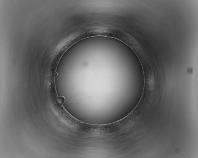 X0000111910732200907271221