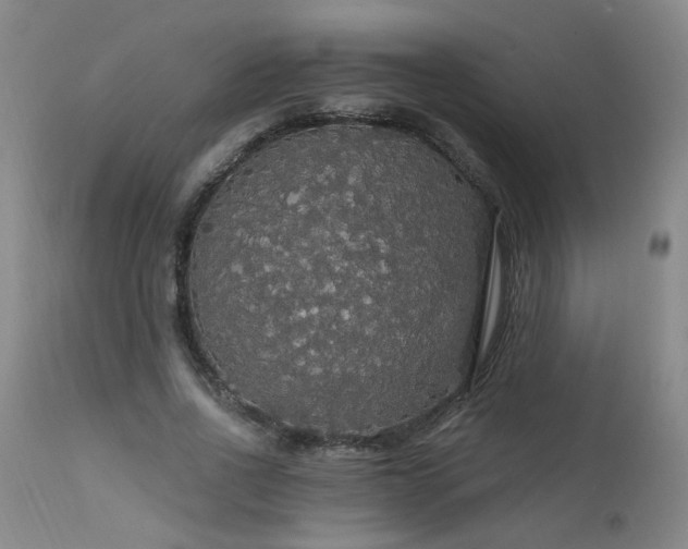 X0000111910734200907271221
