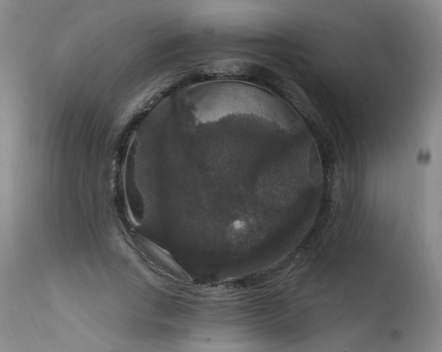 X0000111910735200907271221