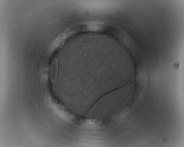X0000111910736200907271221