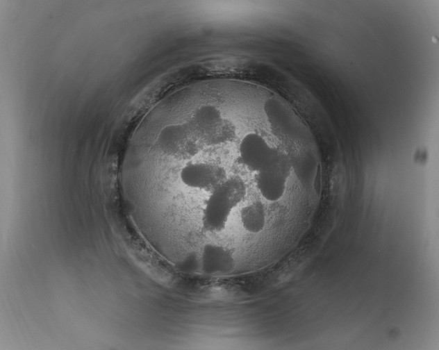 X0000111910737200907271221