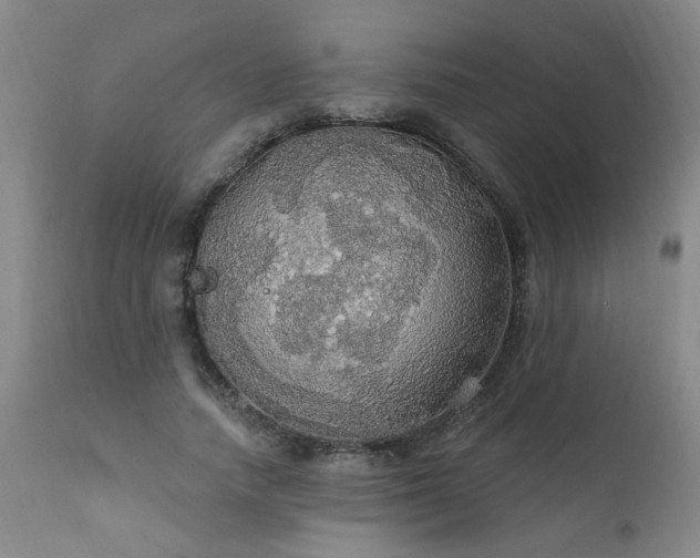 X0000111910738200907271221
