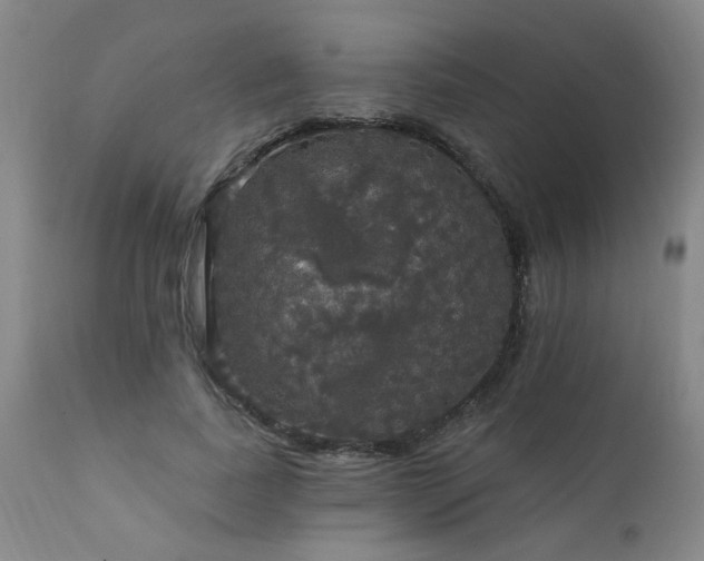 X0000111910739200907271221