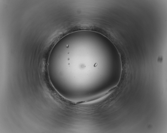 X0000111910744200907271221