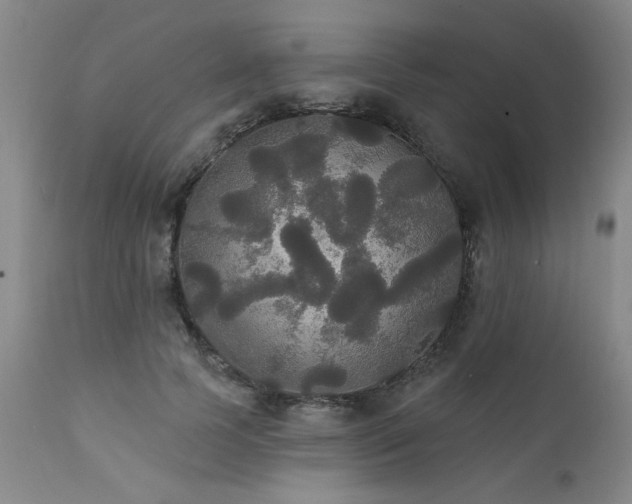 X0000111910745200907271221