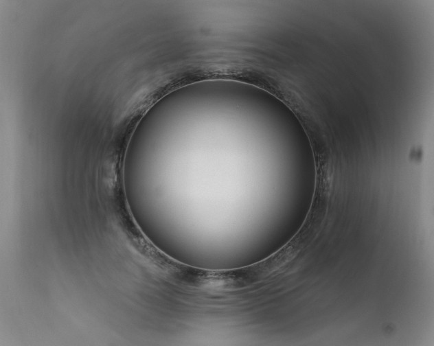 X0000111910746200907271221