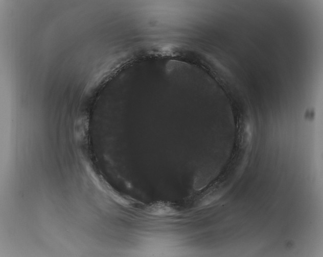 X0000111910747200907271221