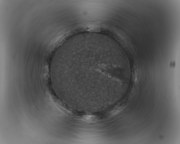 X0000111910748200907271221