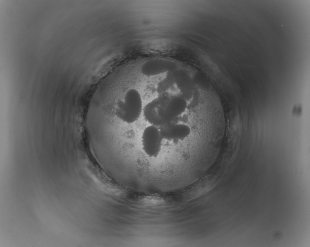 X0000111910749200907271221