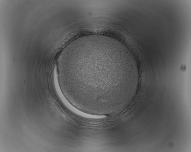 X0000111910750200907271221