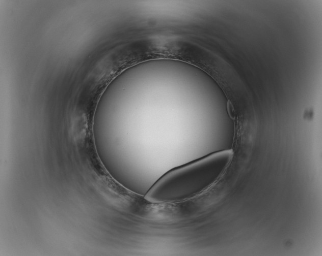 X0000111910752200907271221