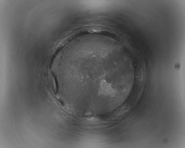 X0000111910755200907271221