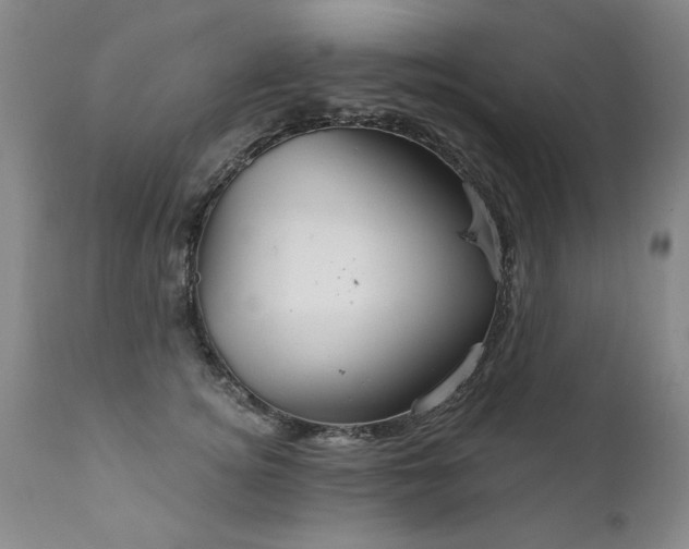 X0000111910756200907271221