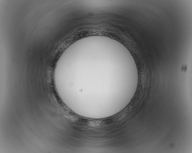 X0000111910757200907271221