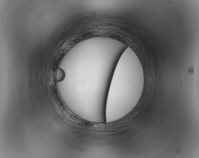 X0000111910758200907271221