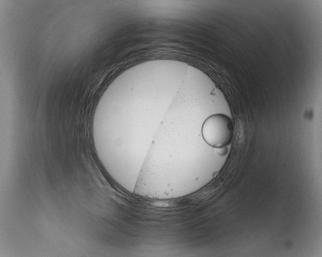 X0000111910759200907271221