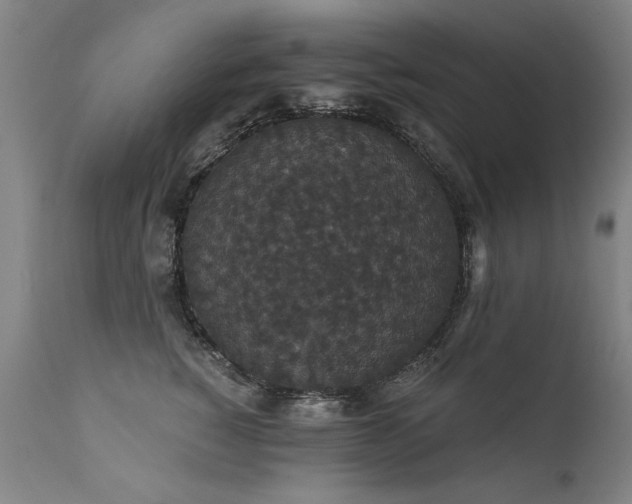 X0000111910760200907271222