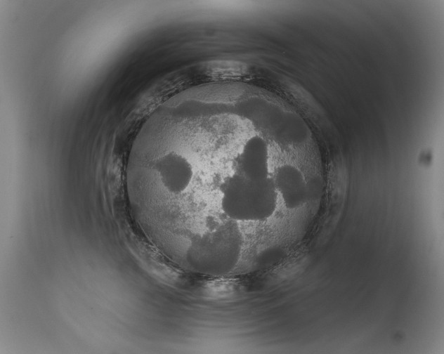 X0000111910761200907271222