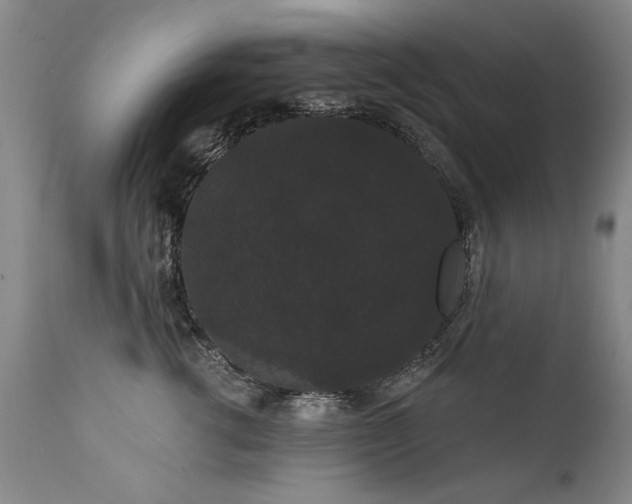 X0000111910762200907271222