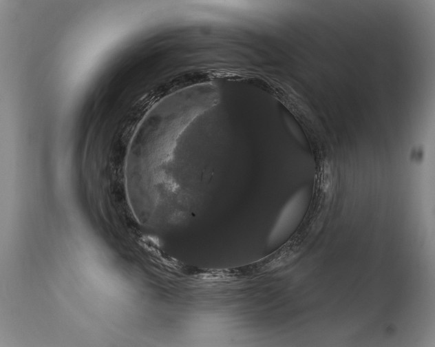 X0000111910763200907271222