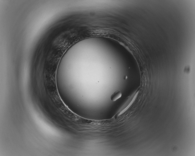 X0000111910764200907271222