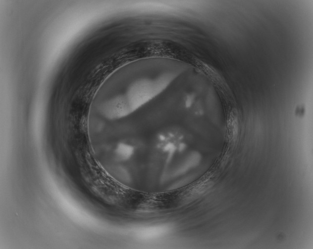 X0000111910765200907271222