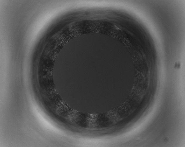 X0000111910767200907271222