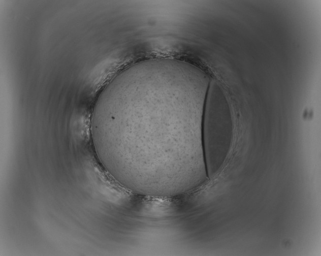 X0000111910768200907271222