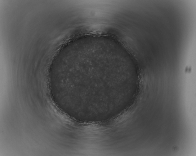 X0000111910769200907271221