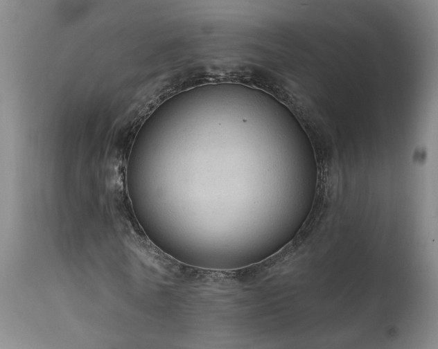 X0000111910770200907271221