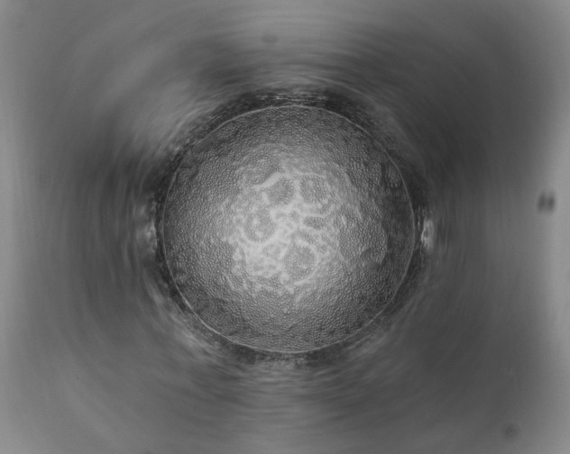 X0000111910771200907271221