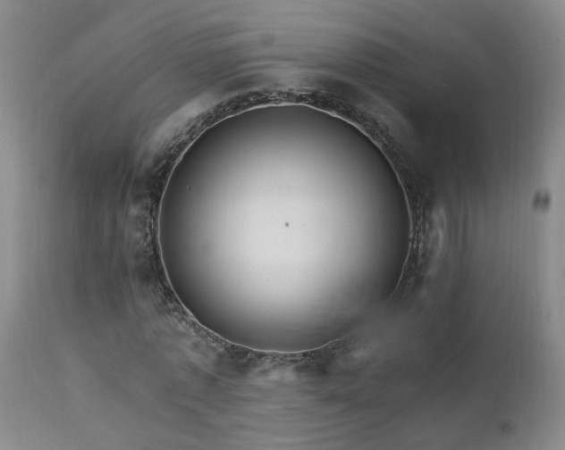 X0000111910773200907271221