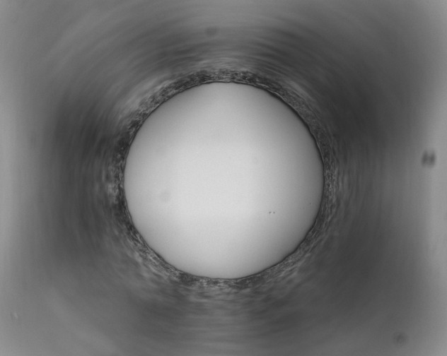 X0000111910774200907271221